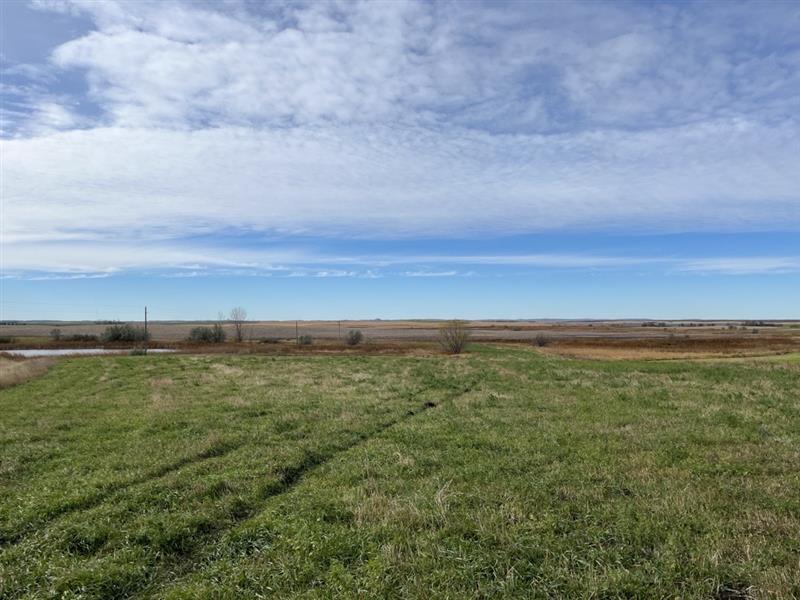 An image of a prairie site, looking west.