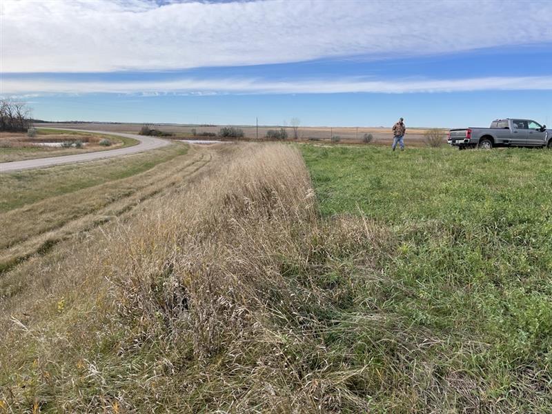 A view of a prairie landscape with a man and pickup in the background on the right side.